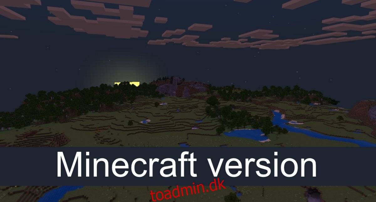 Minecraft version