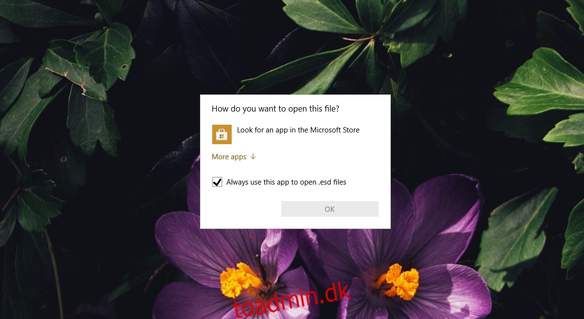 “Hvordan vil du åbne denne fil” på Windows 10