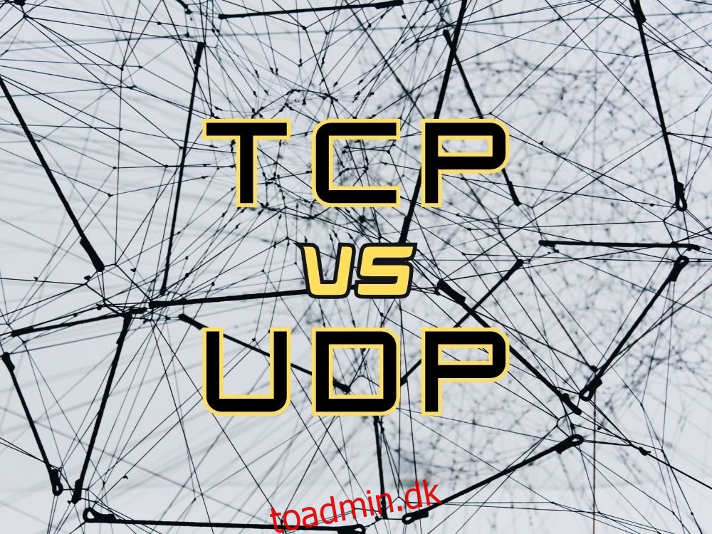 Hvad de er + forskellen mellem TCP og UDP