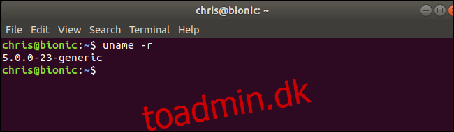 uname kommando, der viser Linux-kerne 5.0, der kører på Ubuntu 