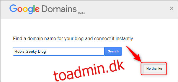 Google Domains-panelet med 