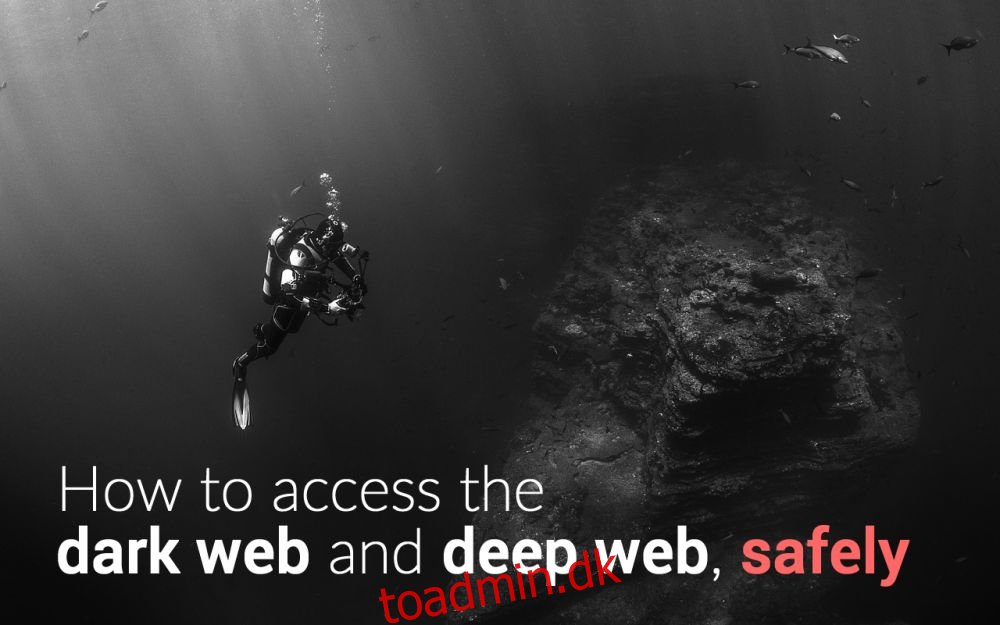 Sådan får du adgang til det mørke web og det dybe web, sikkert og anonymt