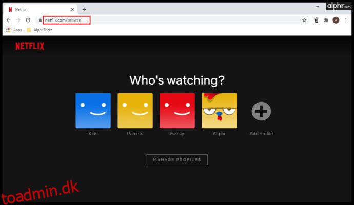 Sådan streames Netflix på Discord