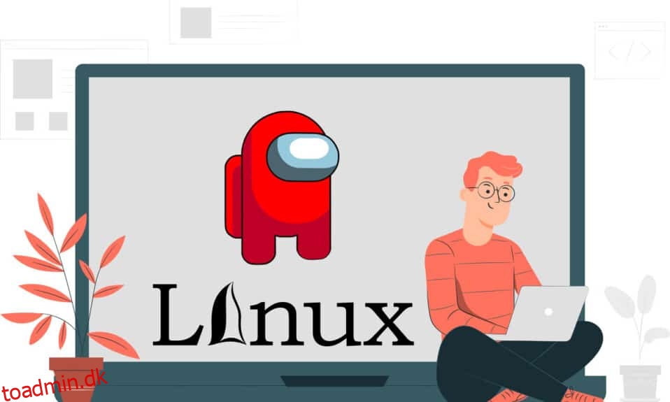 Sådan kommer du blandt os på Linux