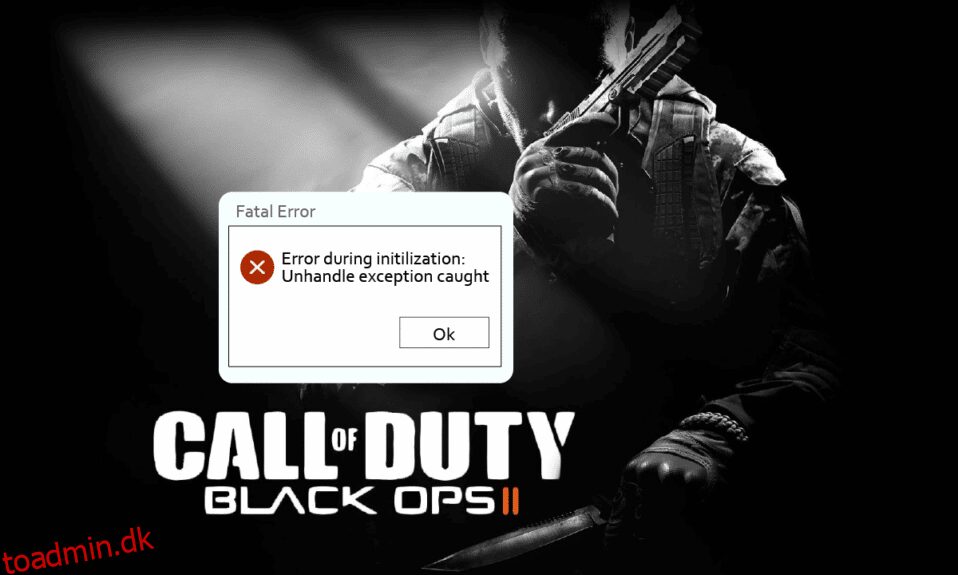 Fix CoD Black Ops 2 Unhandled Exception Fanget fejl
