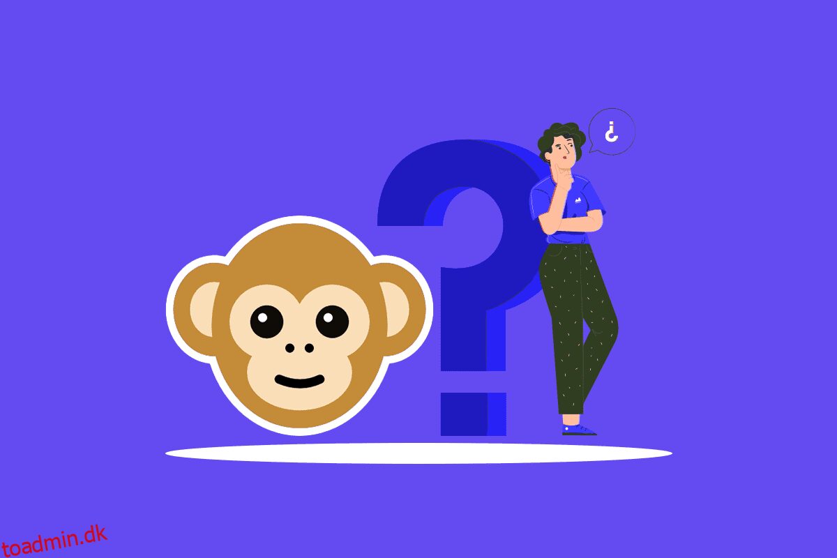 Hvad skete der med Monkey-appen?