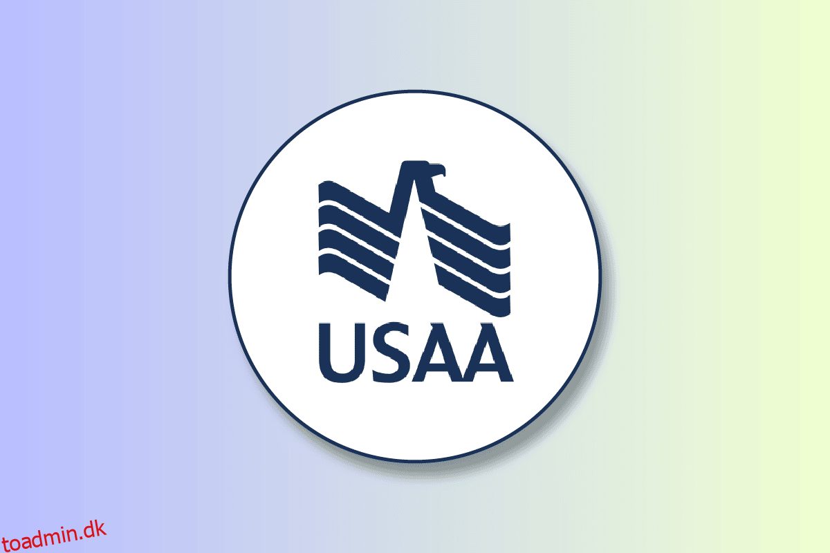 Hvad er dit USAA Online ID?