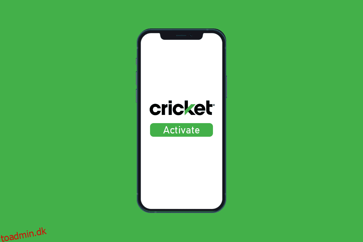 Sådan aktiveres cricket på telefonen