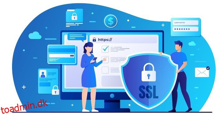 Sådan får du et billigt SSL-certifikat fra SSLS.COM [+ 7 Alternatives]