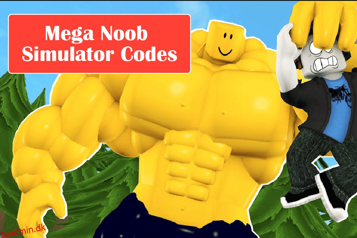 Alle Roblox-koder til Mega Noob Simulator: Indløs nu