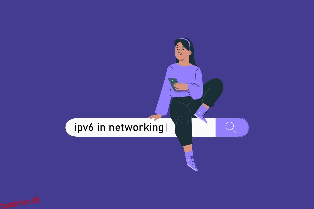 Hvad er IPv6-adresse i netværk?