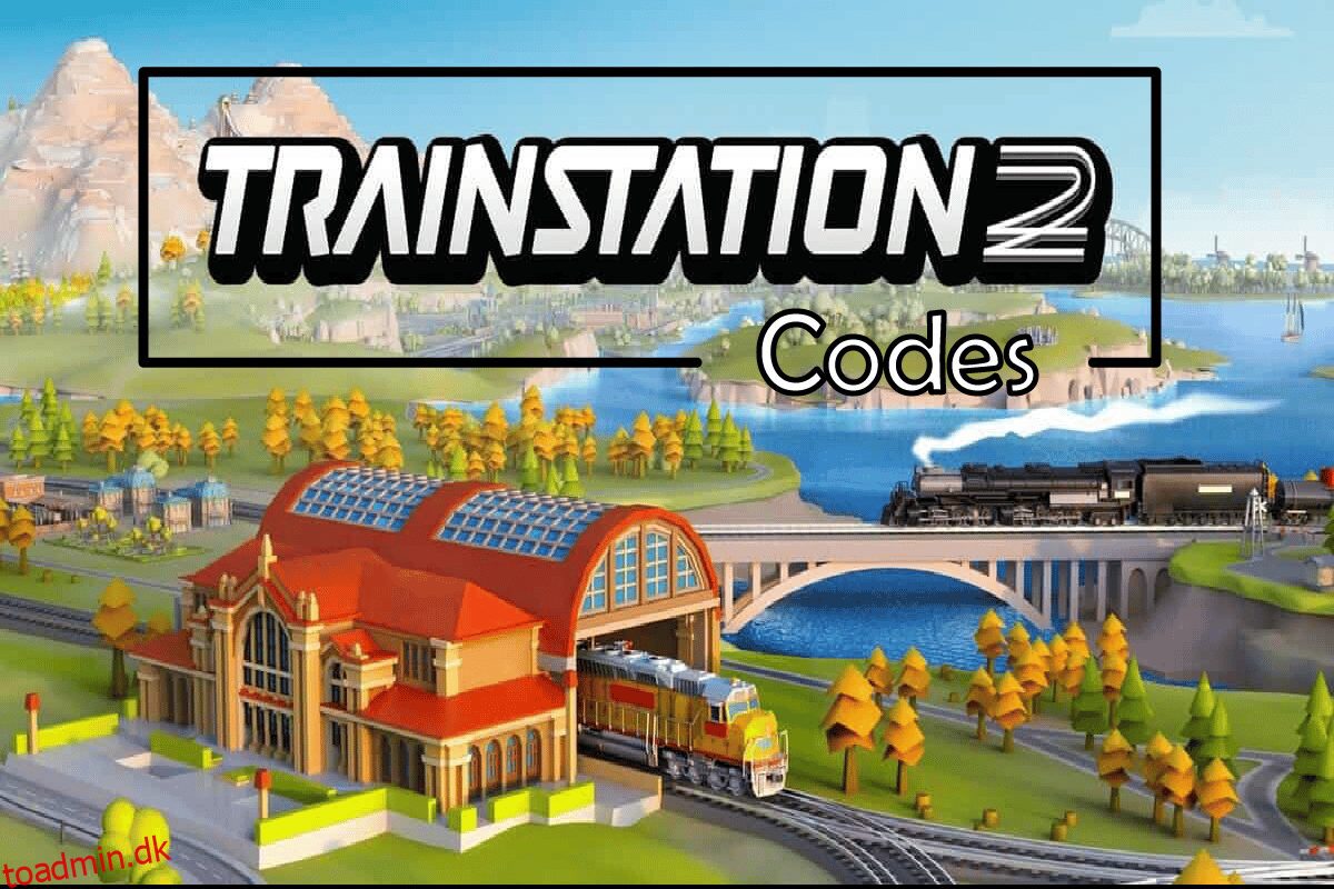 Togstation 2-koder: Indløs nu