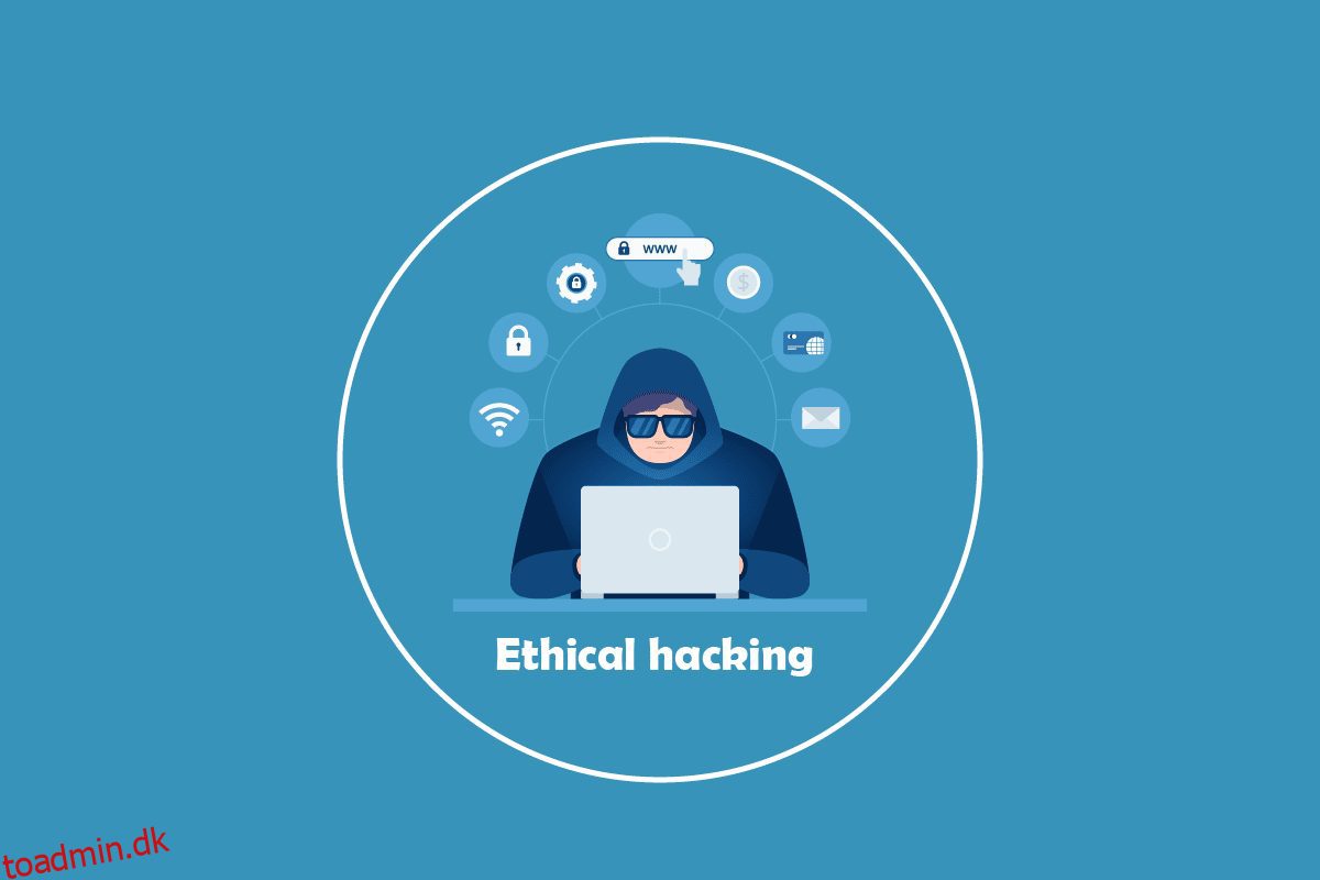 Hvad er etisk hacking?