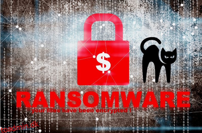 Hvad er Blackcat Ransomware og hvordan man forsvarer sig mod det?
