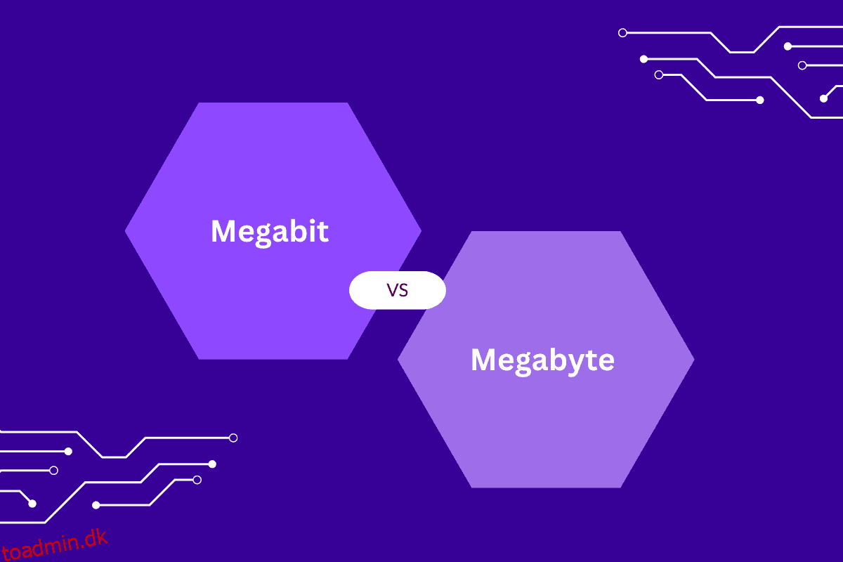 Megabit vs Megabyte
