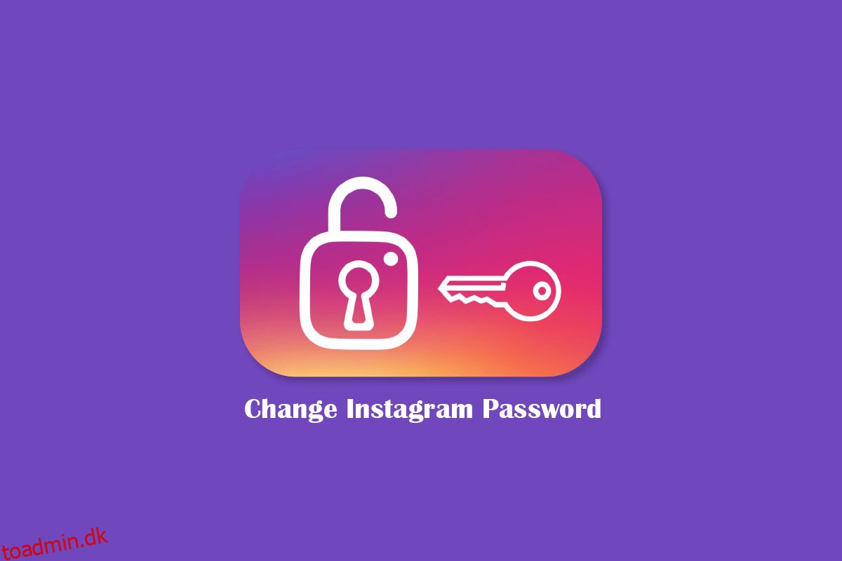 Sådan ændres din Instagram-adgangskode, hvis du har glemt den