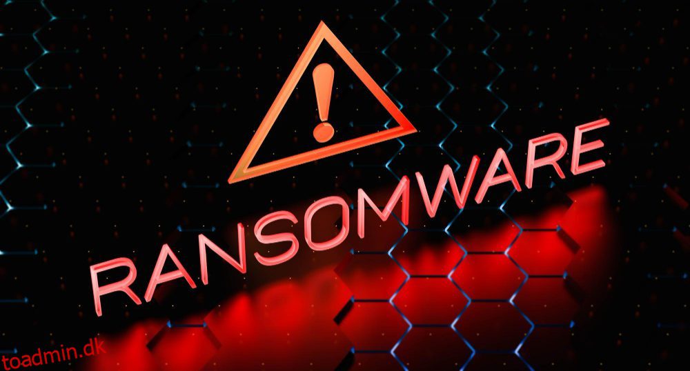 7 typer af ransomware og hvordan du redder dig selv fra dem