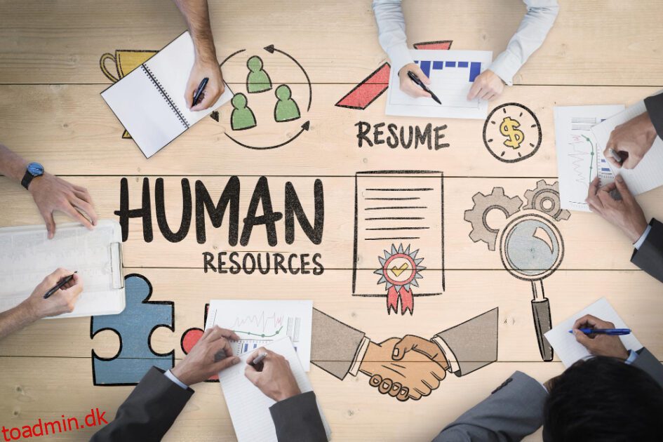 HR-udvikling (HRD) vs HR Management (HRM): Forskelle forklaret